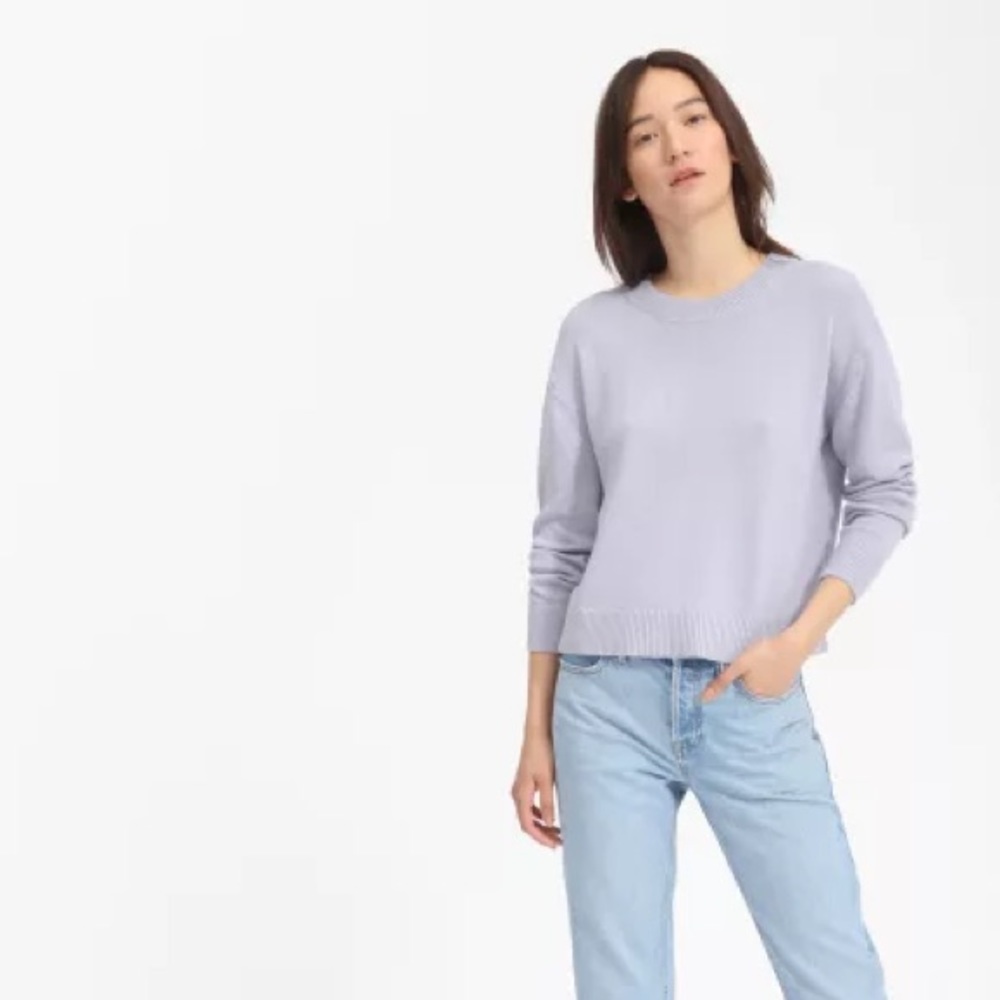 Everlane Cotton long sleeved crew sweater